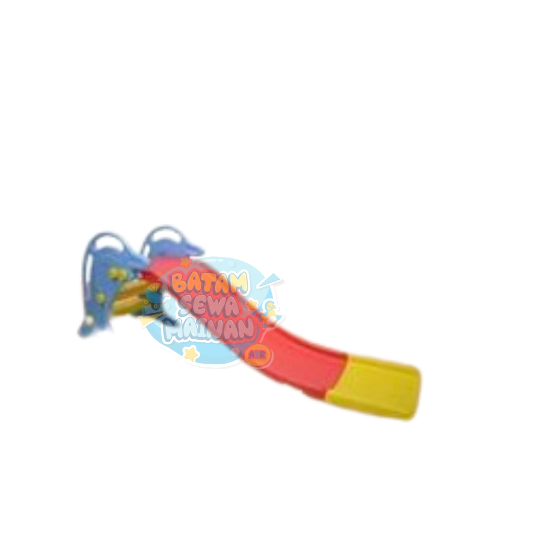 SLIDE DOLPHIN 